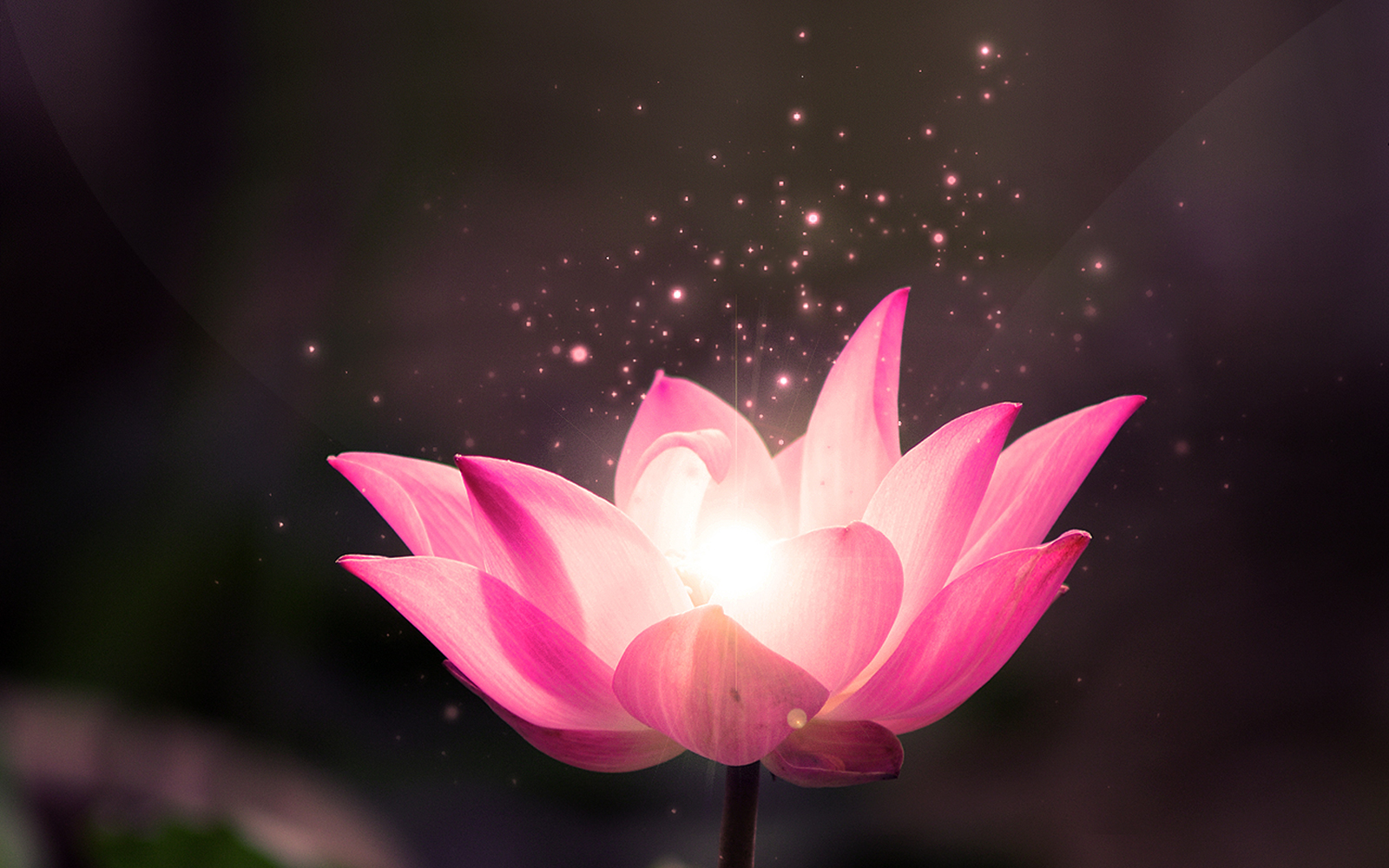 Qigong